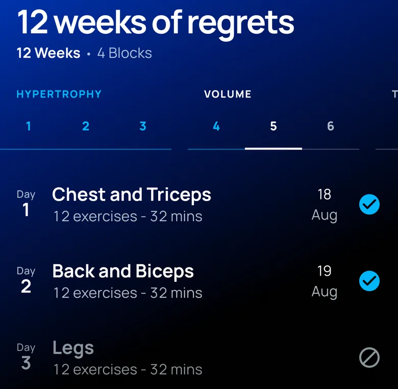 A 12-week programme in 4 blocks, with the week's days and their exercise counts